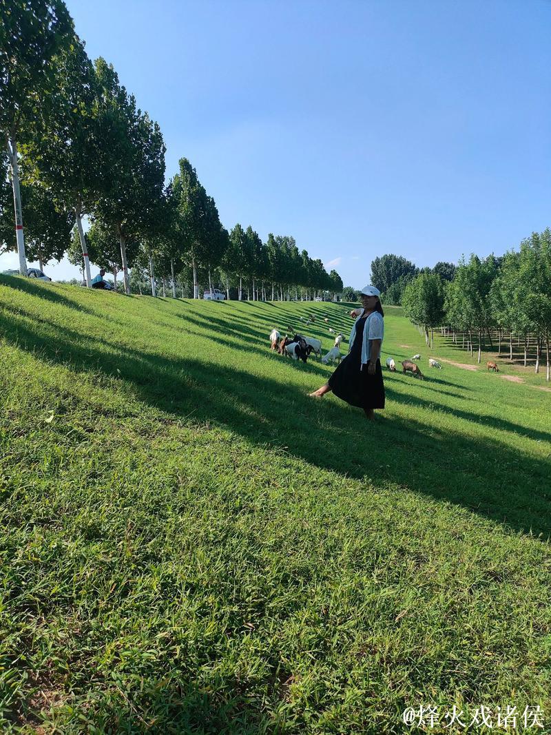 青青草在观2018免费